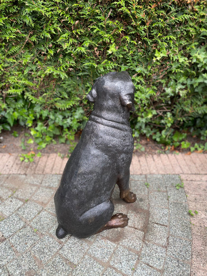 Bronze Rottweiler - 44x35x64cm - 11Kg