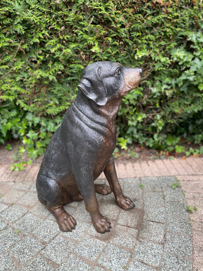 Bronze Rottweiler -  44x35x64cm - 11Kg