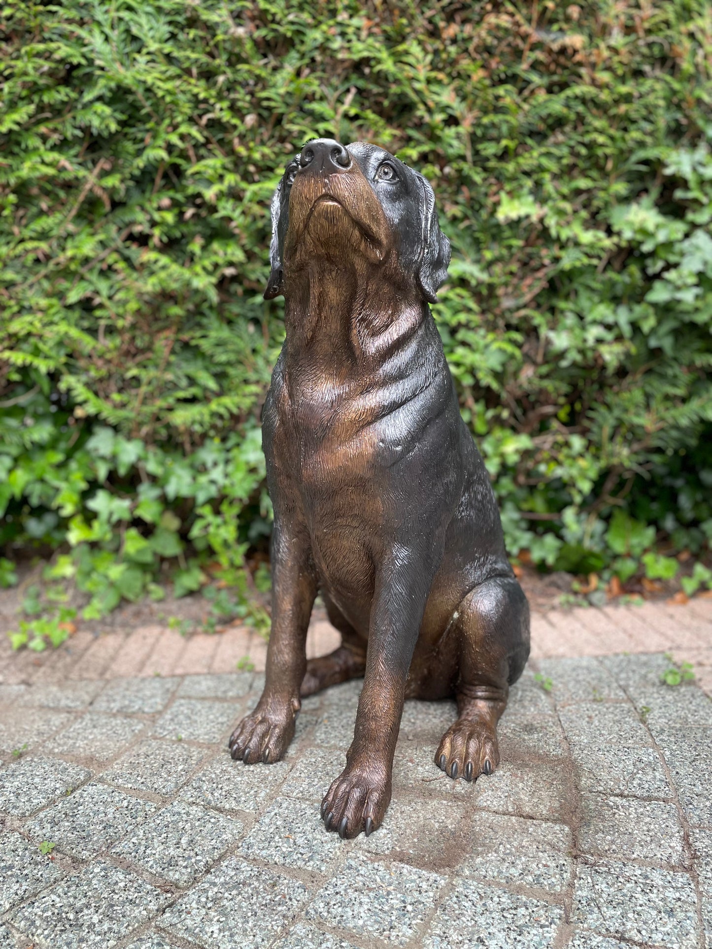 Bronze Rottweiler - 44x35x64cm - 11Kg