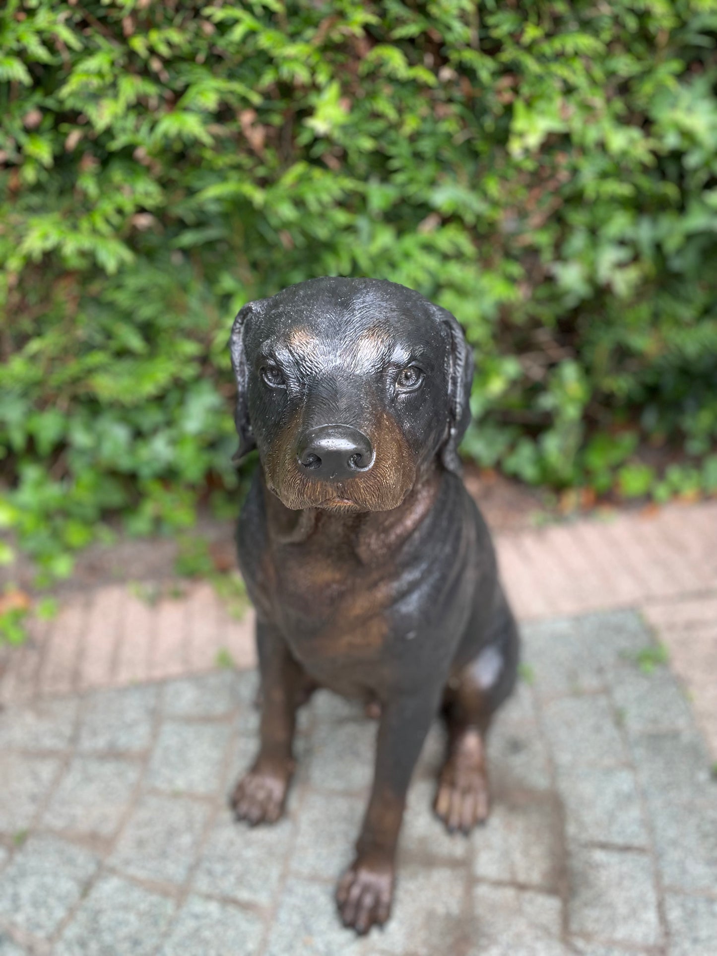 Bronzen Rottweiler - 44x35x64cm - 11Kg