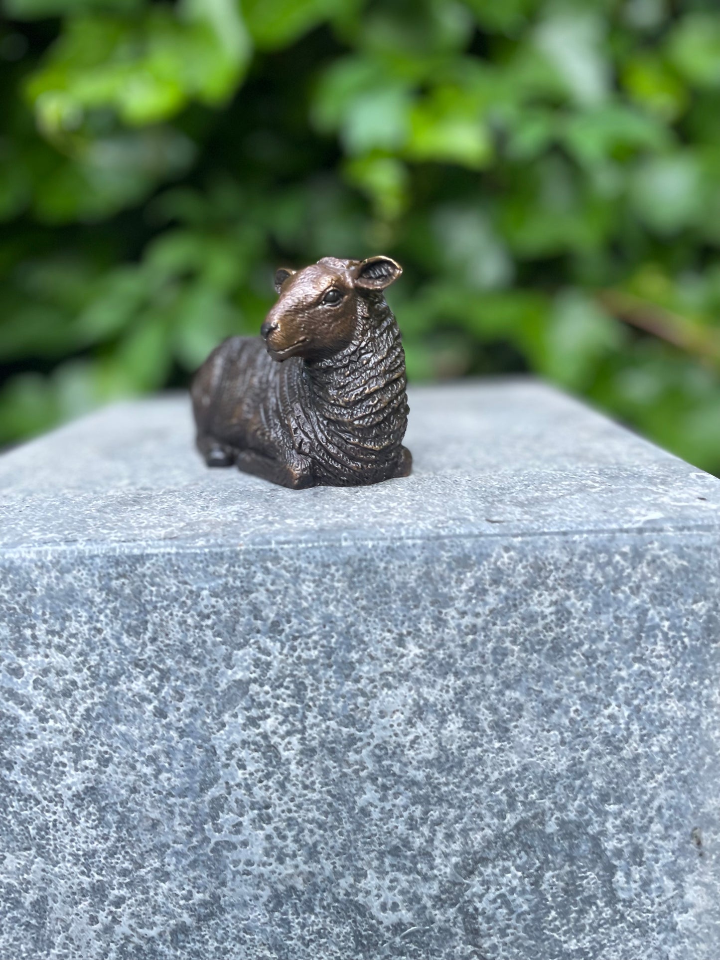 Bronzen Schaap - 12x6x6cm