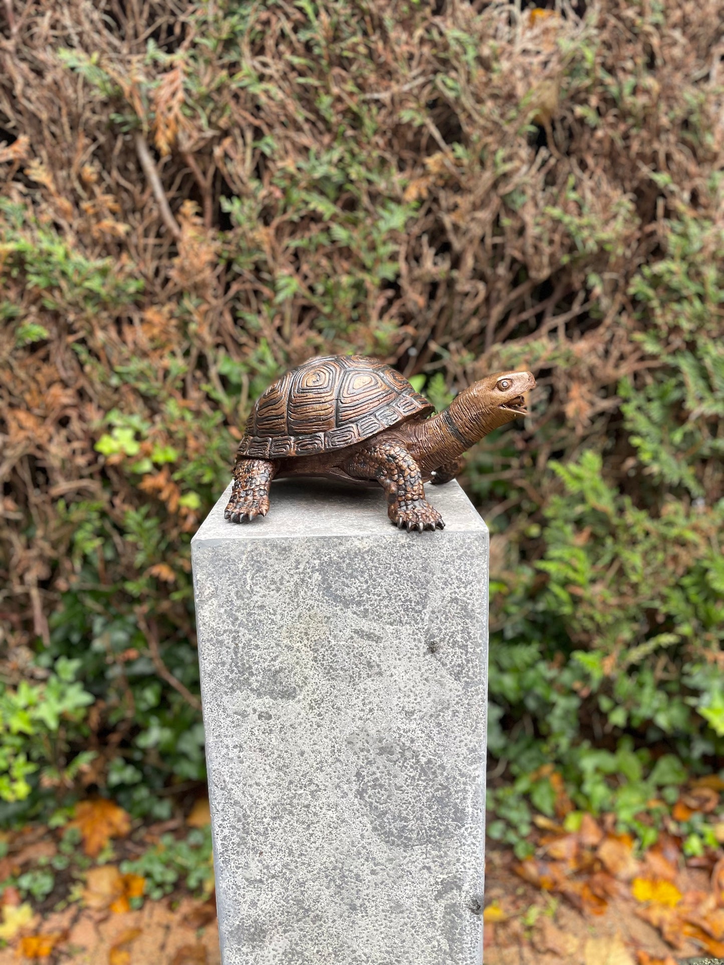 Bronze Turtle - Garden Statue - Indoor - Pond Decoration - Fountain