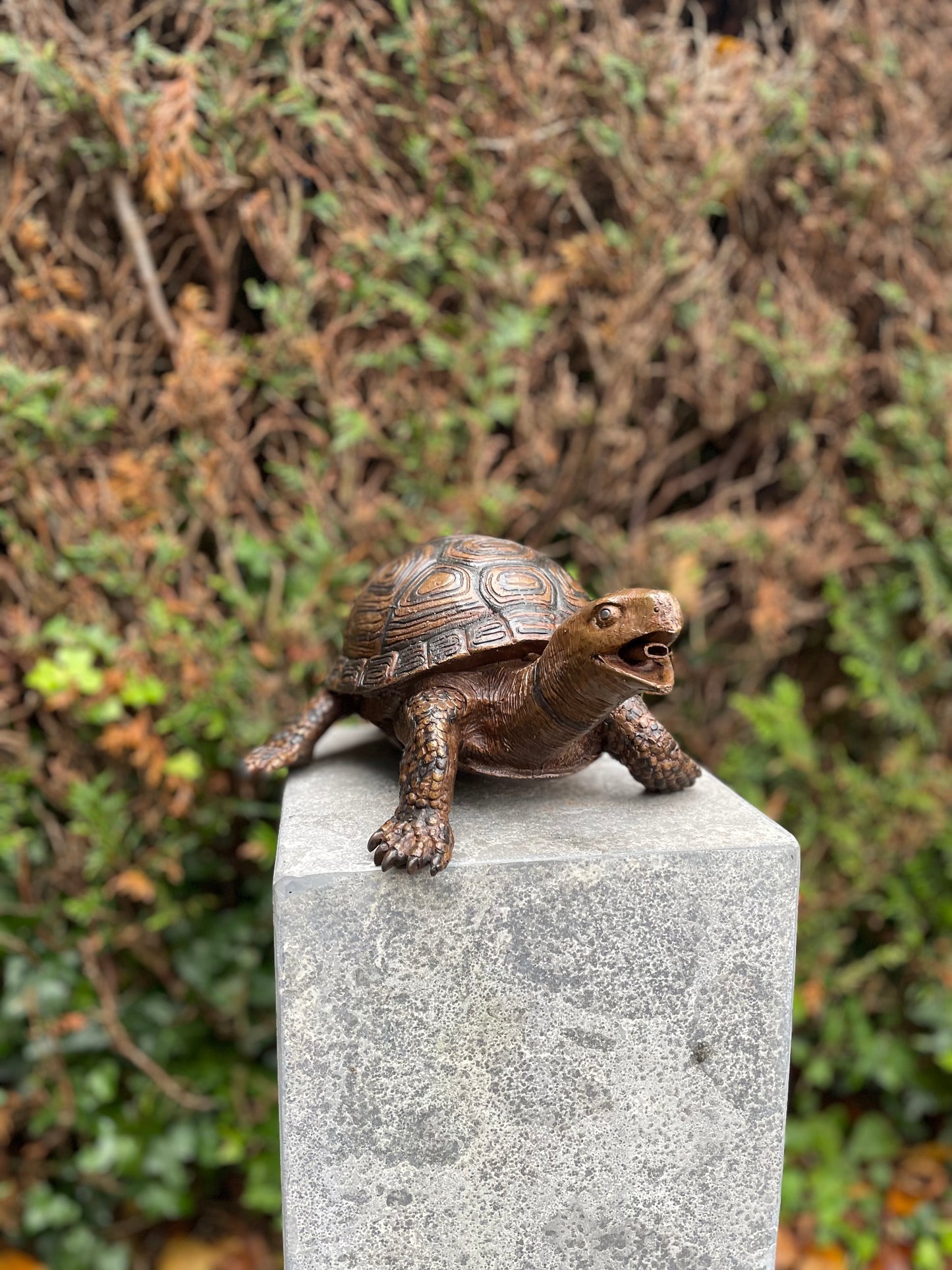 Bronzen Schildpad - Tuinbeeld - Binnen - Vijverdecoratie - Fontein