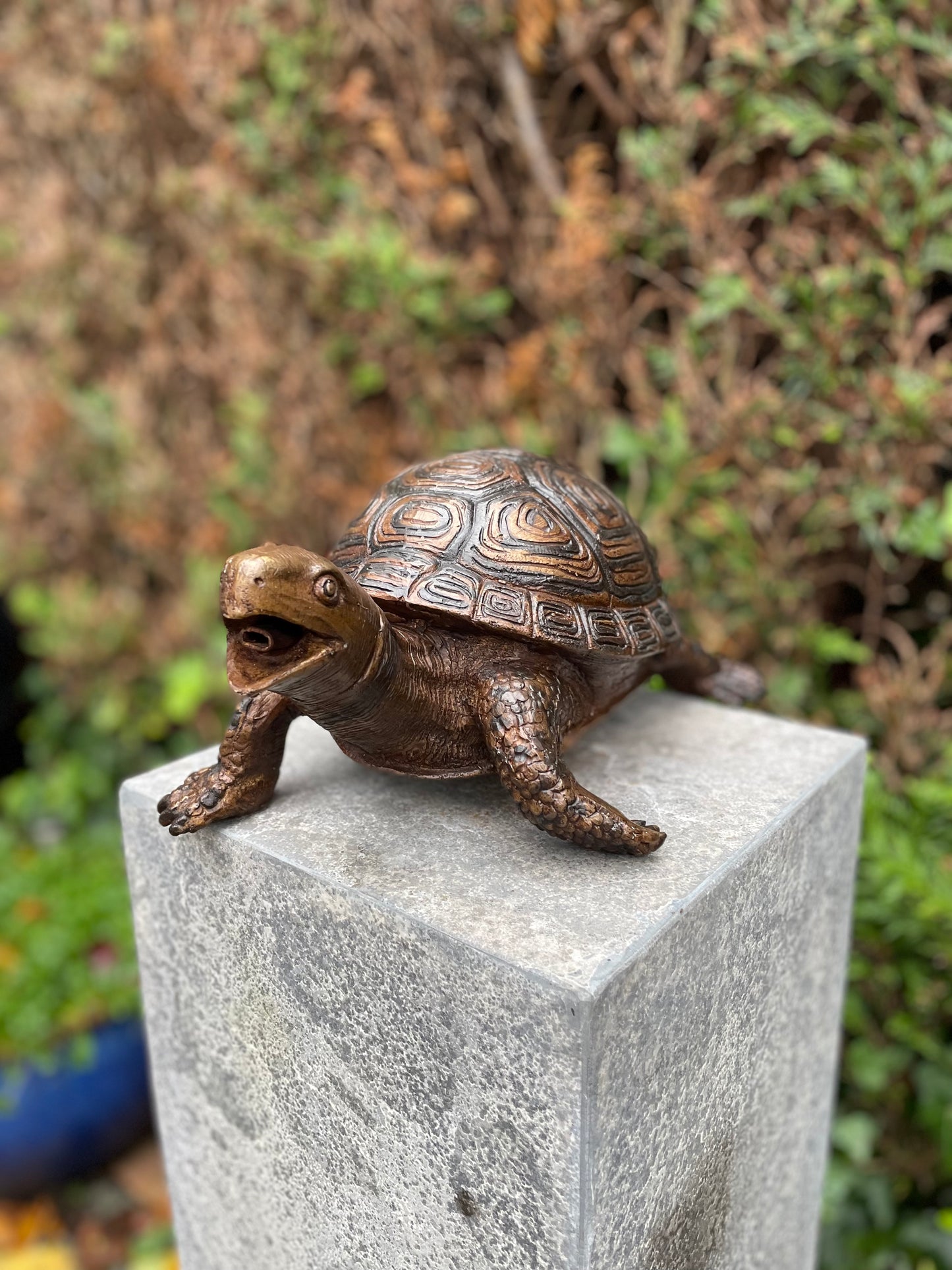 Bronzen Schildpad - Tuinbeeld - Binnen - Vijverdecoratie - Fontein