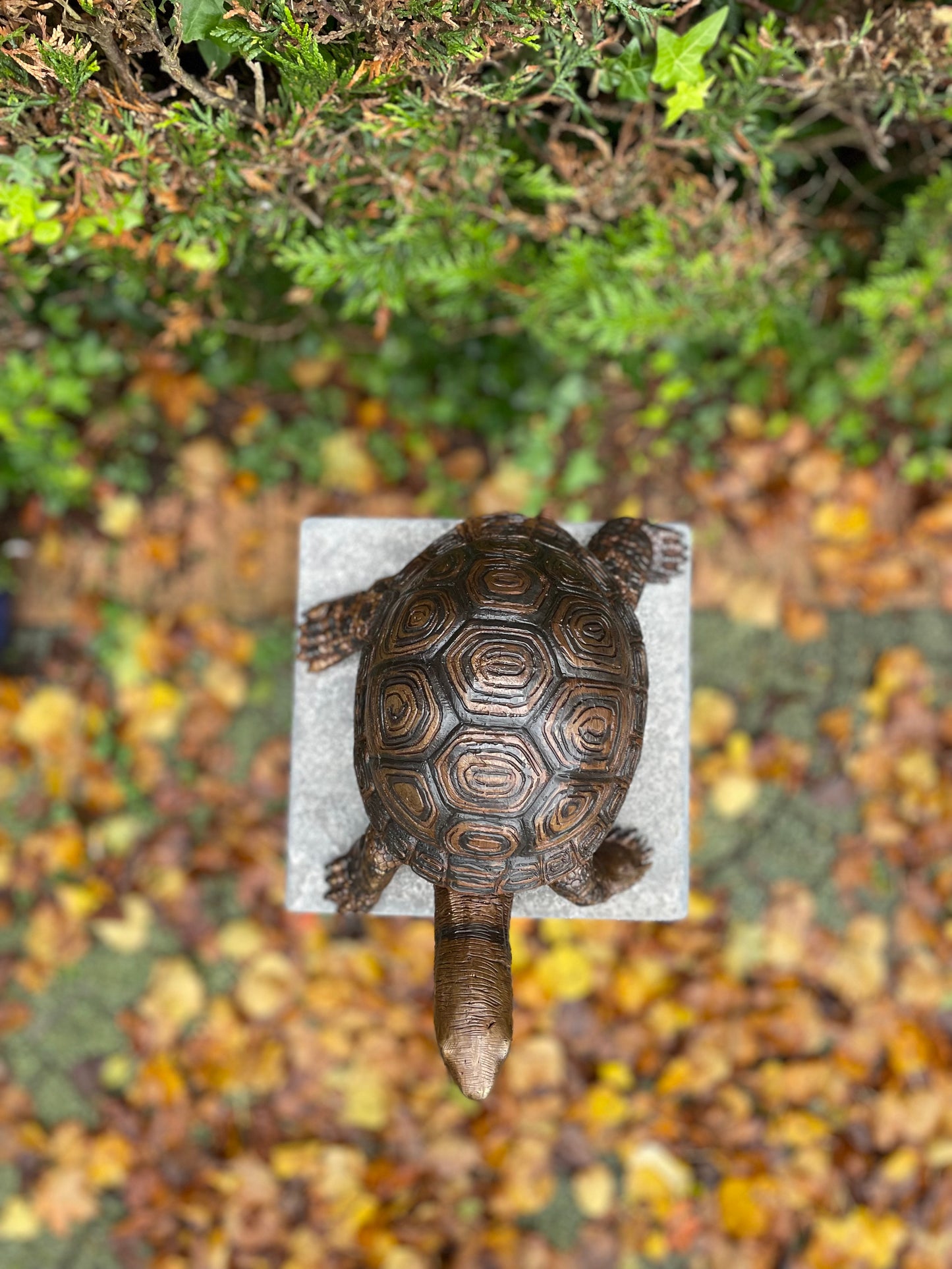 Bronzen Schildpad - Tuinbeeld - Binnen - Vijverdecoratie - Fontein