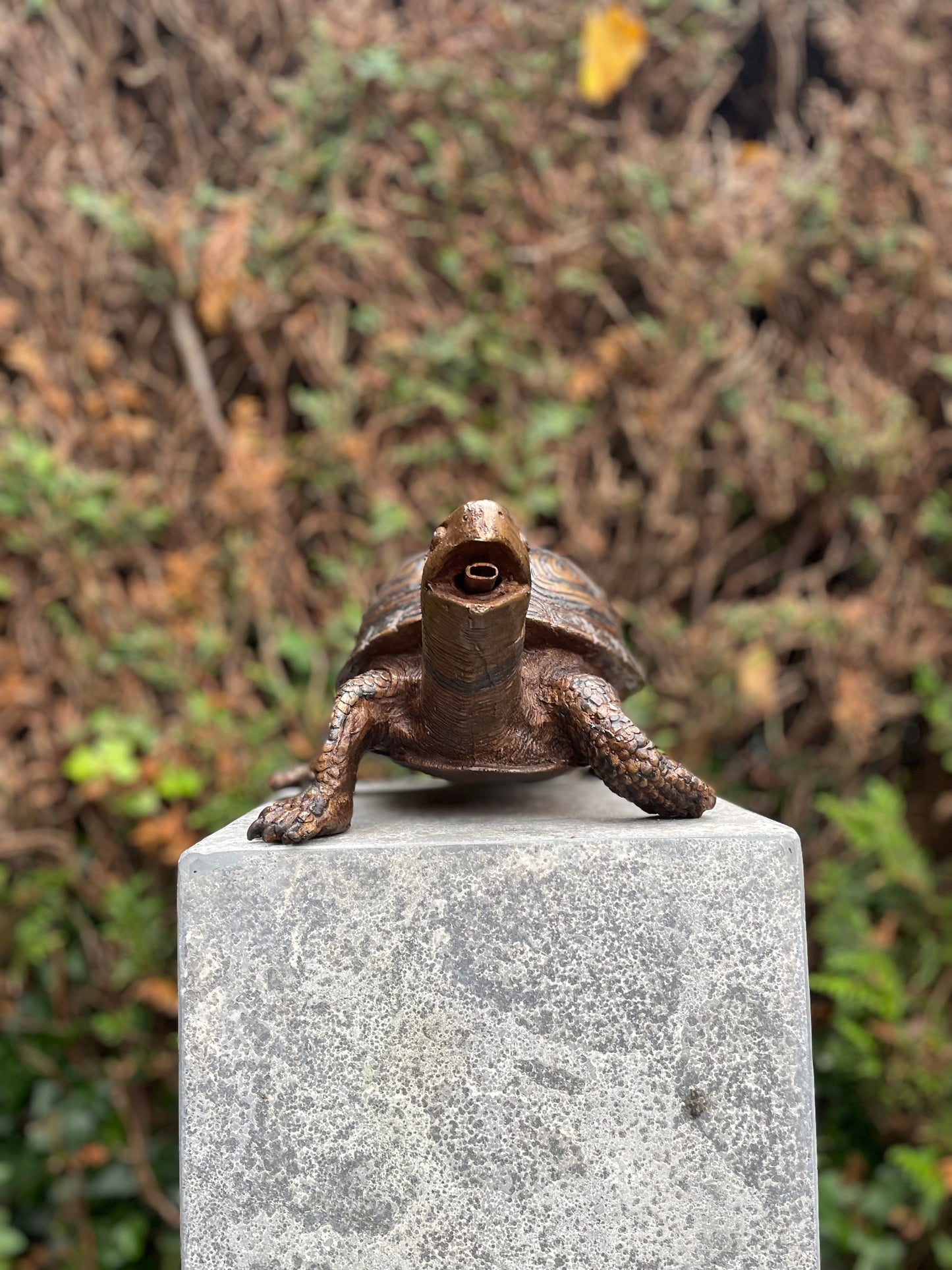 Bronzen Schildpad - Tuinbeeld - Binnen - Vijverdecoratie - Fontein