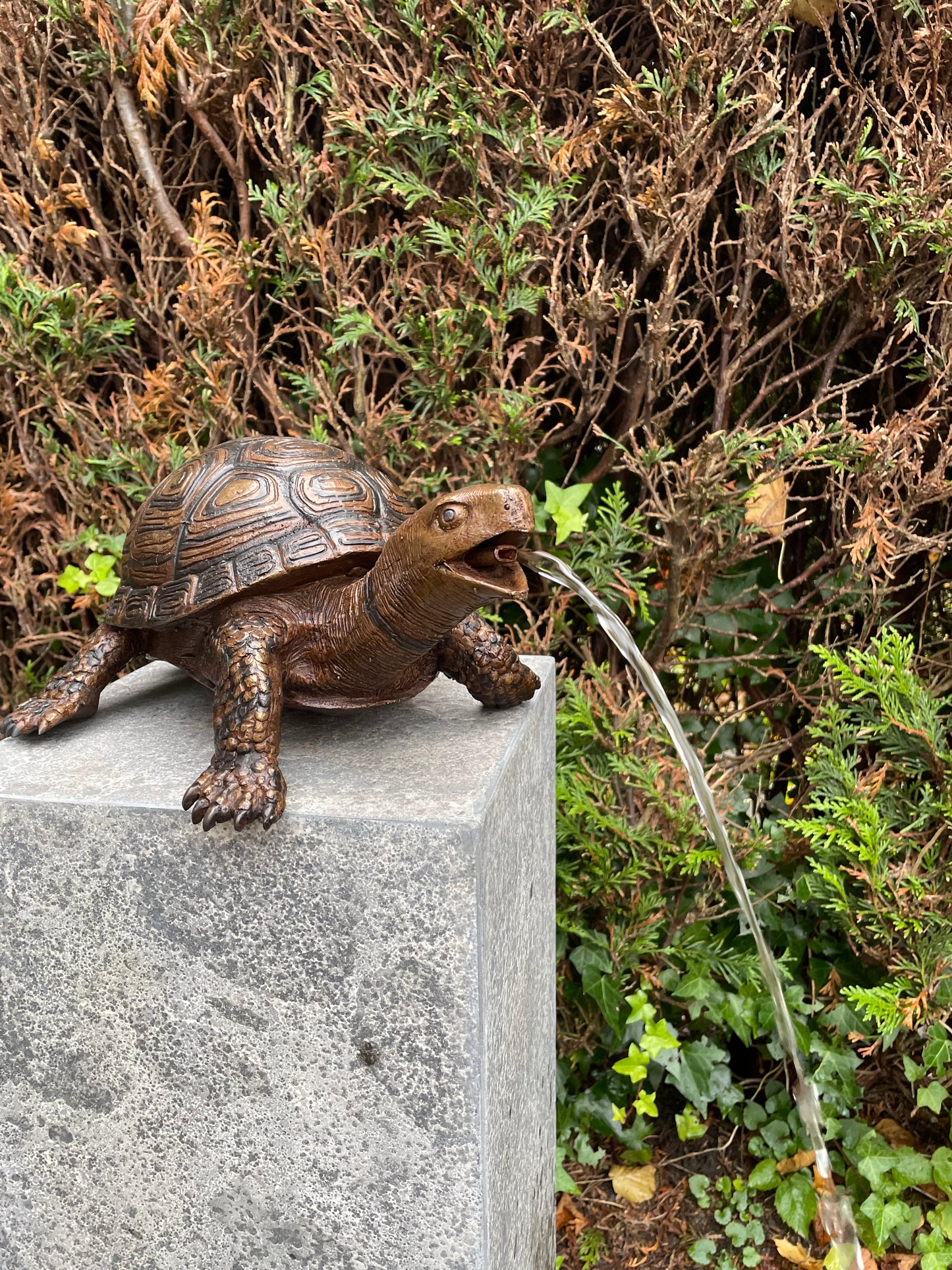 Bronzen Schildpad - Tuinbeeld - Binnen - Vijverdecoratie - Fontein