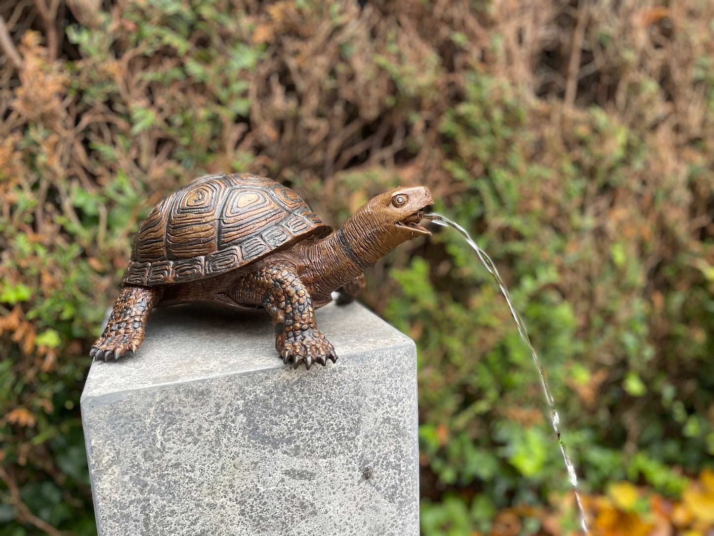 Bronzen Schildpad - Tuinbeeld - Binnen - Vijverdecoratie - Fontein