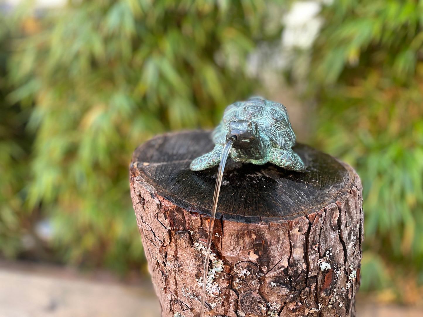 Bronzen Schildpad - Tuinbeeld - Binnen - Vijverdecoratie - Fontein