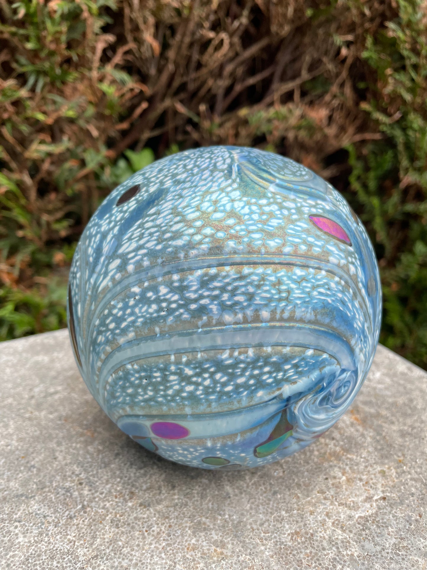 <transcy>An Elan Blue Ball</transcy>