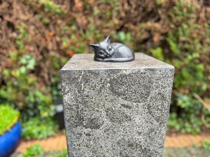 <transcy>Bronze Urn Kitten Sleeping 250ML</transcy>