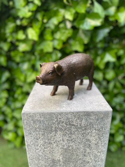 Bronze Pig -15x8x12cm