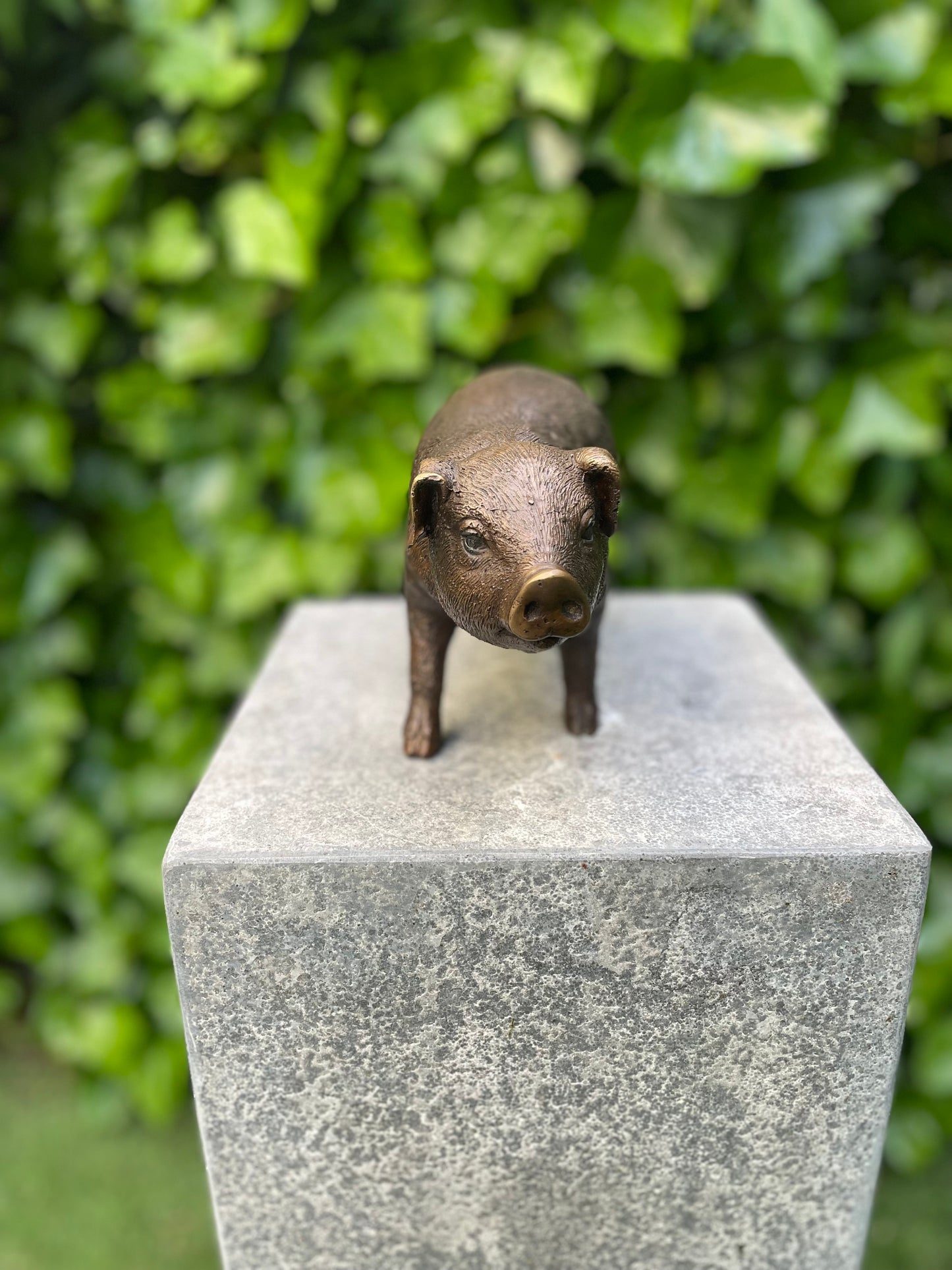 Bronzen Varken -15x8x12cm