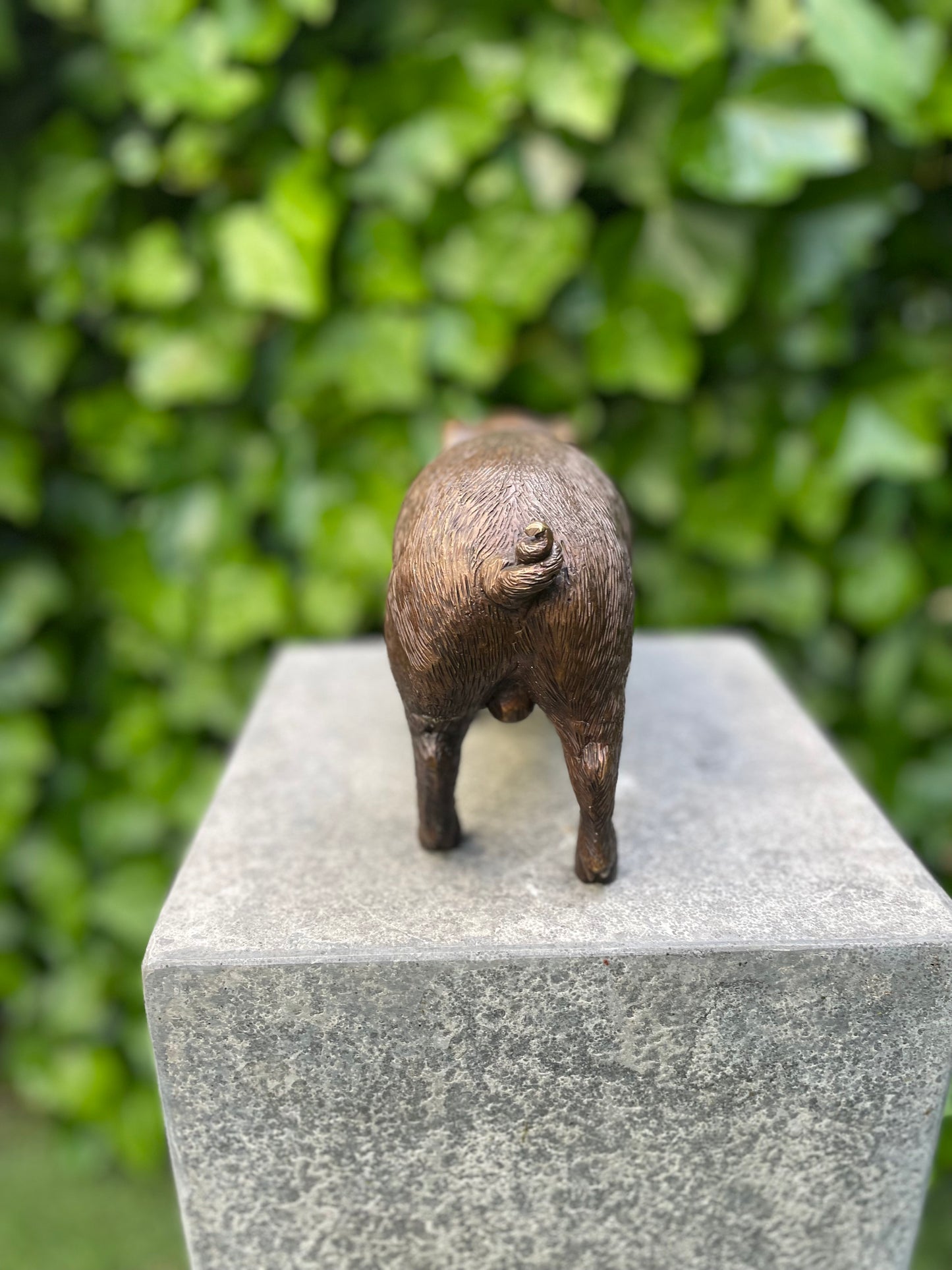 Bronze Pig -15x8x12cm