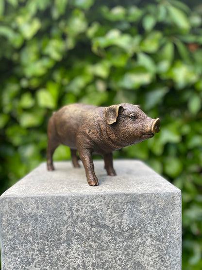 Bronze Pig -15x8x12cm