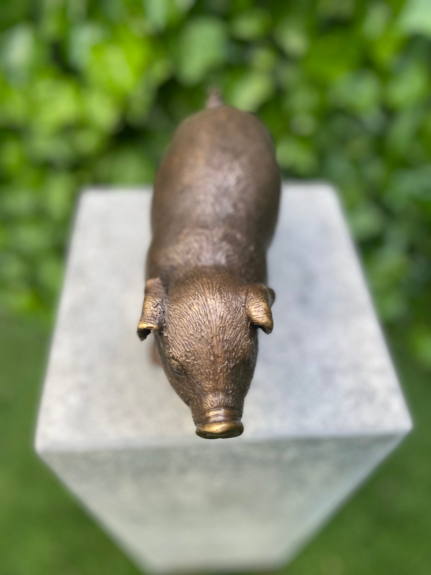 Bronze Pig -15x8x12cm