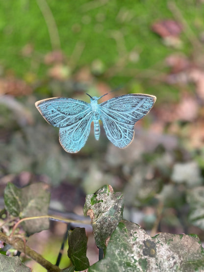 Bronze butterfly 60x10x100cm