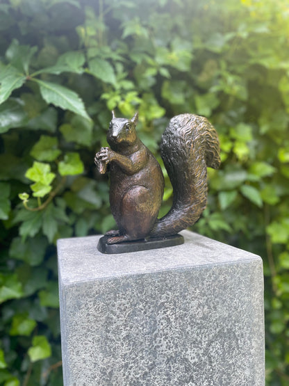 Bronze squirrel - 22x17x21cm