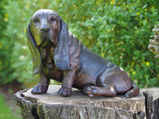 Basset Hound – Bronze Sculpture. 52x34x39cm