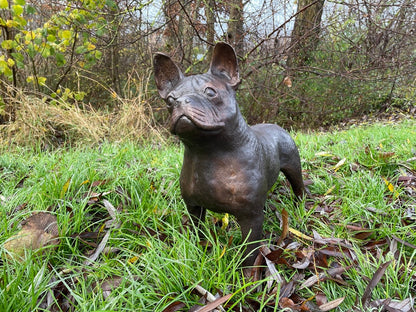 French Bulldog – Bronze Sculpture. 46x20x48cm - 10Kg
