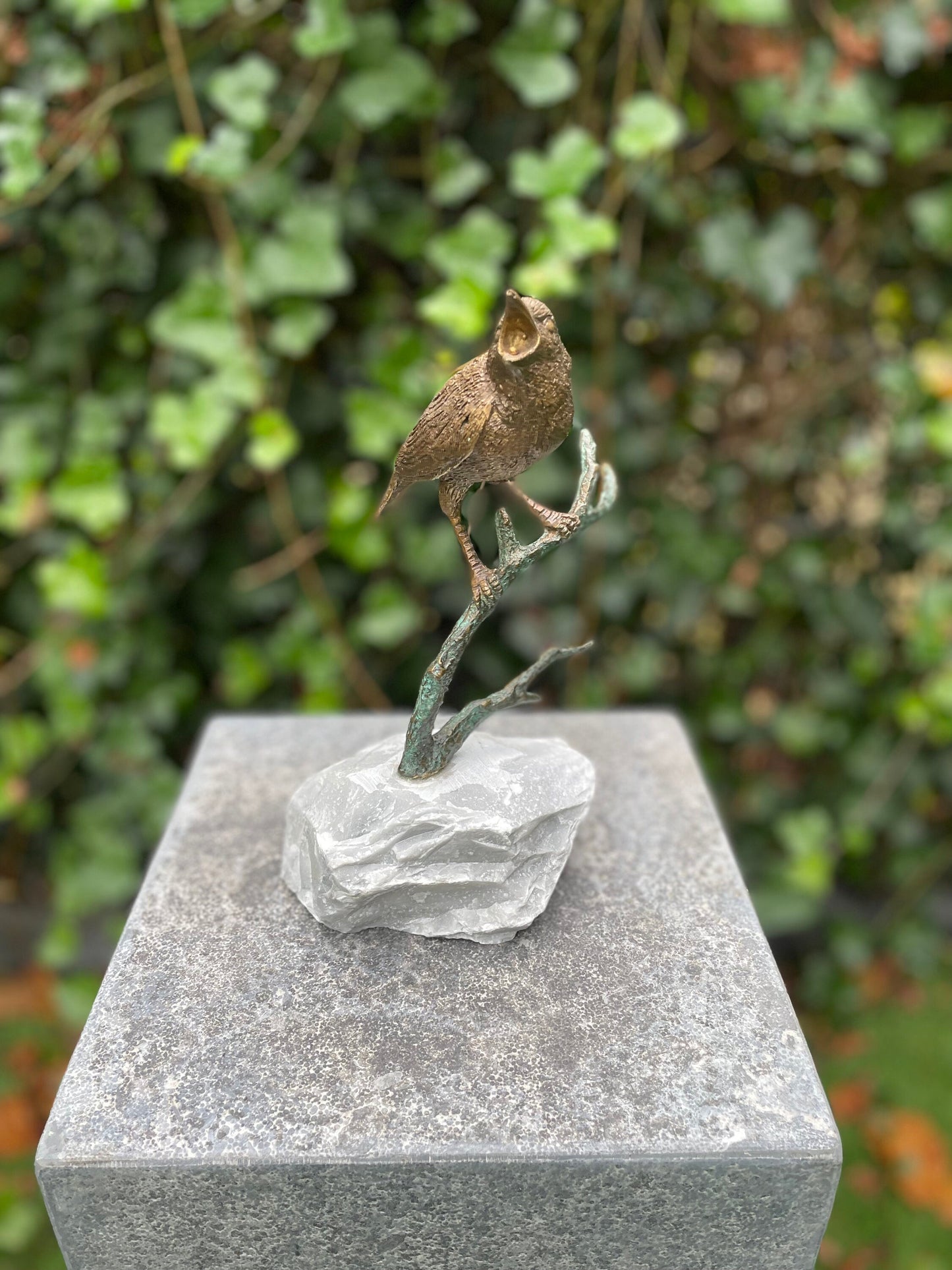Morning Melody – Bronze Sculpture. 18x17x22cm - 1.5Kg