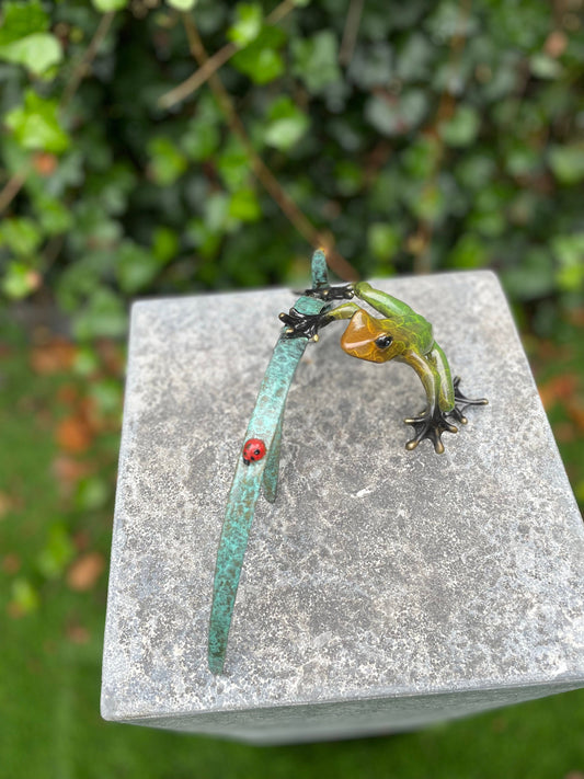 Frog and Ladybug – Bronze Sculpture. 24x12x10cm - 0.5Kg