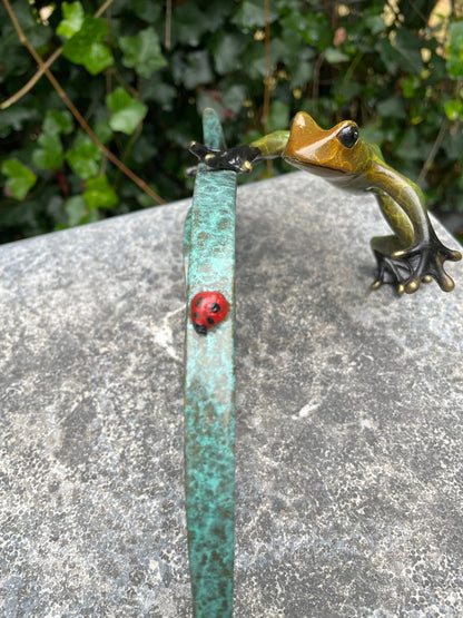 Frog and Ladybug – Bronze Sculpture. 24x12x10cm - 0.5Kg