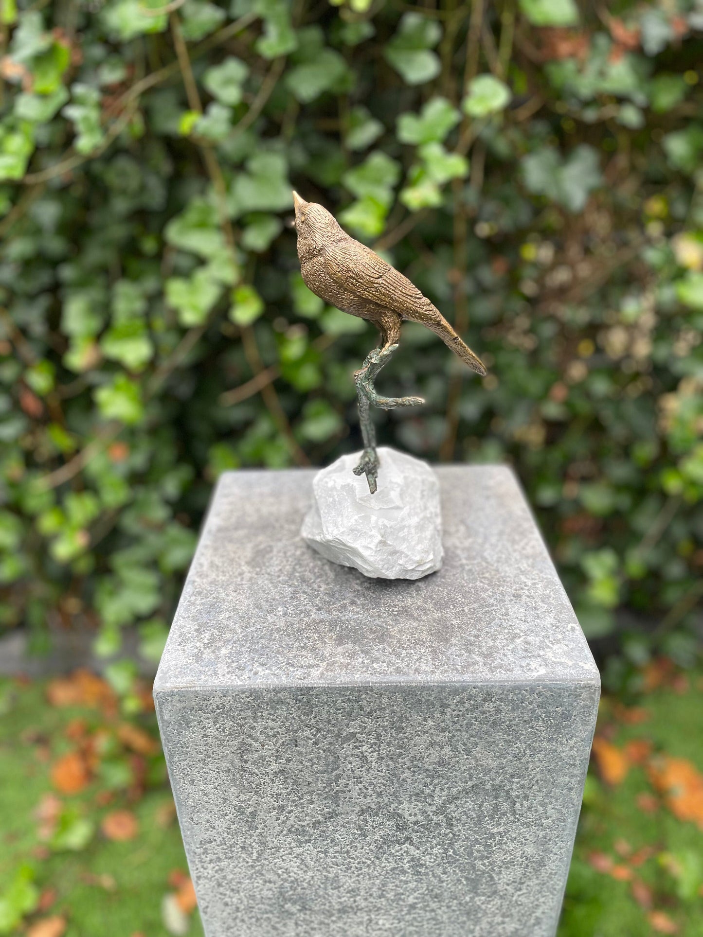 Morning Melody – Bronze Sculpture. 18x17x22cm - 1.5Kg