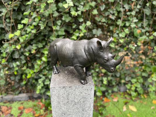 Powerful Rhino – Bronze Sculpture. 51x16x27cm