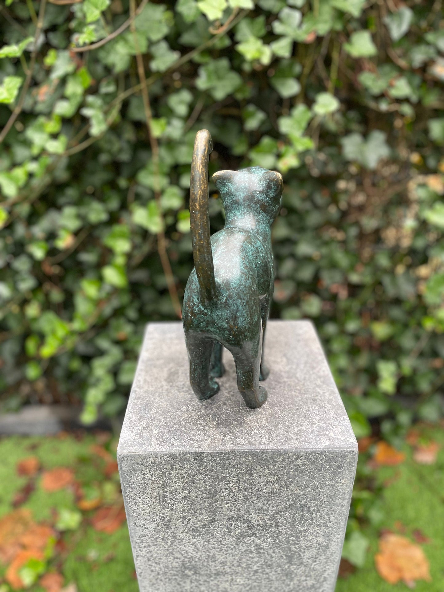 Upward Gaze Cat – Bronze Sculpture. 24x8x31cm