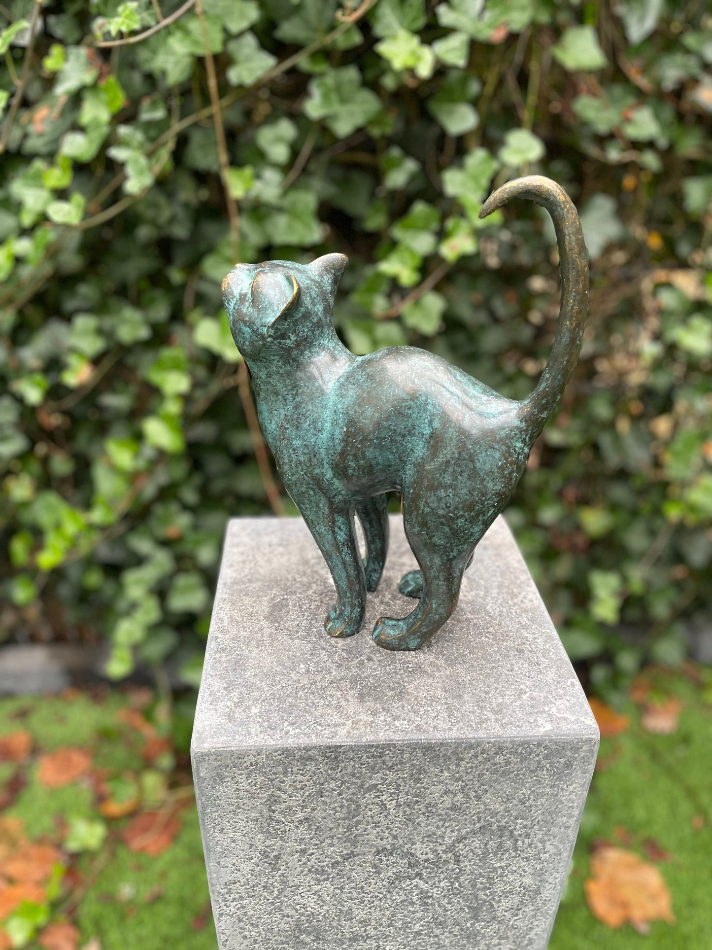 Upward Gaze Cat – Bronze Sculpture. 24x8x31cm
