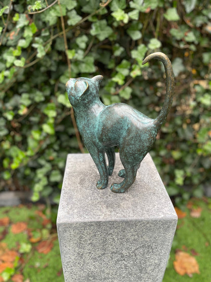 Upward Gaze Cat – Bronze Sculpture. 24x8x31cm