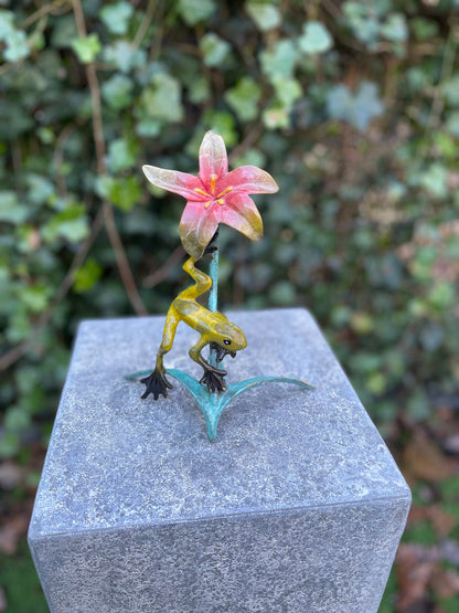 Tropical Frog and Flower – Bronze Sculpture. 13x9x20cm - 0.5Kg