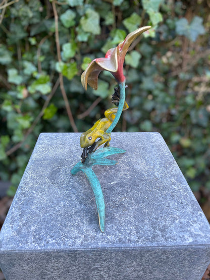 Tropical Frog and Flower – Bronze Sculpture. 13x9x20cm - 0.5Kg