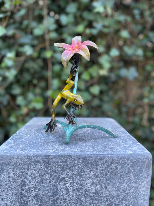 Tropical Frog and Flower – Bronze Sculpture. 13x9x20cm - 0.5Kg