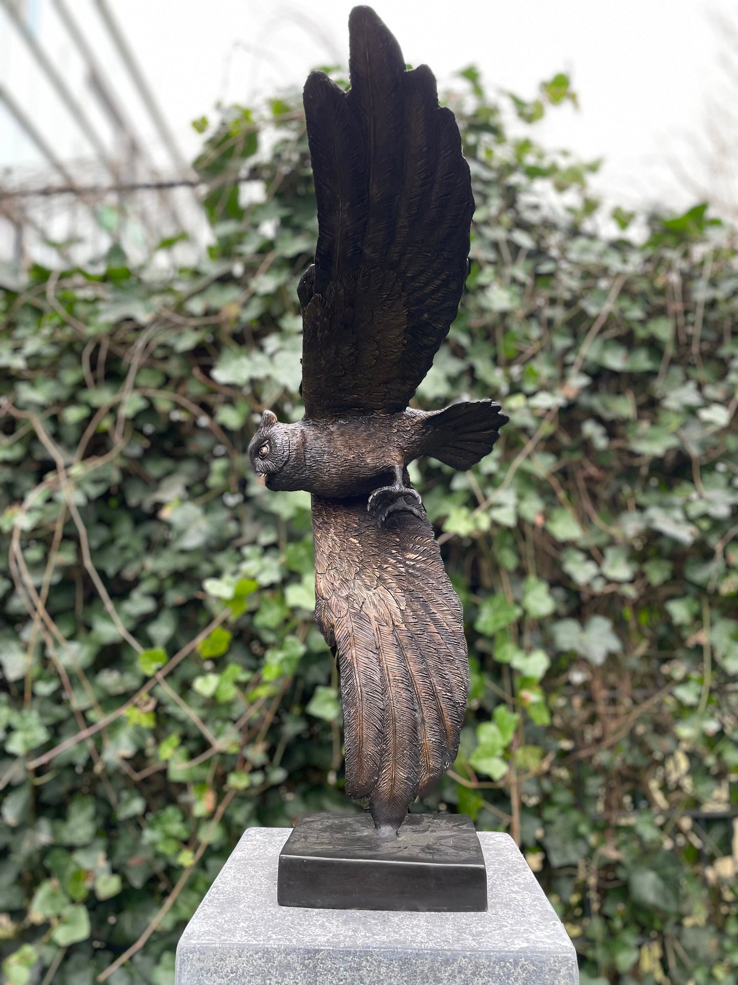 Soaring Owl – Bronze Sculpture. 35x24x48cm