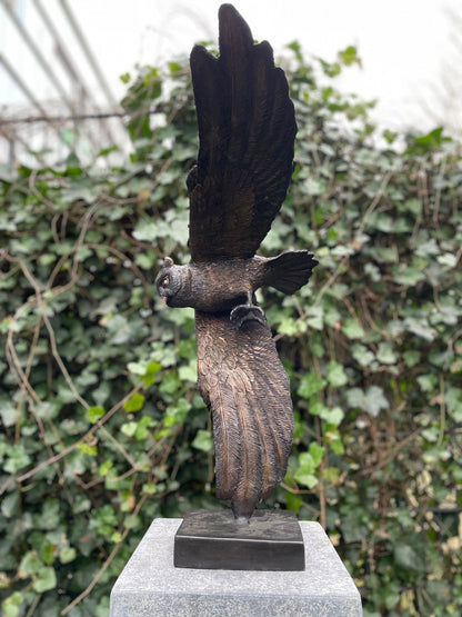 Soaring Owl – Bronze Sculpture. 35x24x48cm