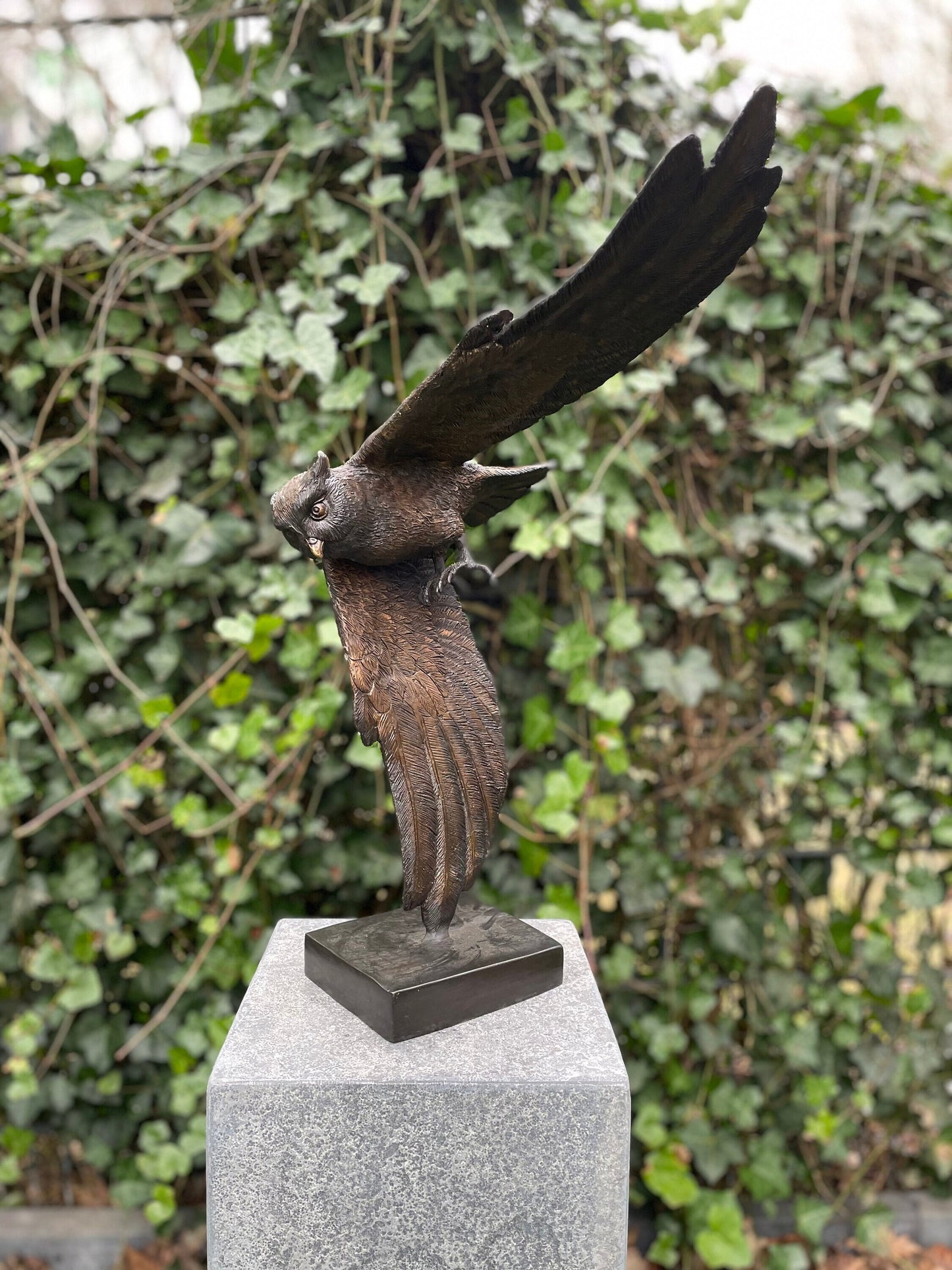 Soaring Owl – Bronze Sculpture. 35x24x48cm