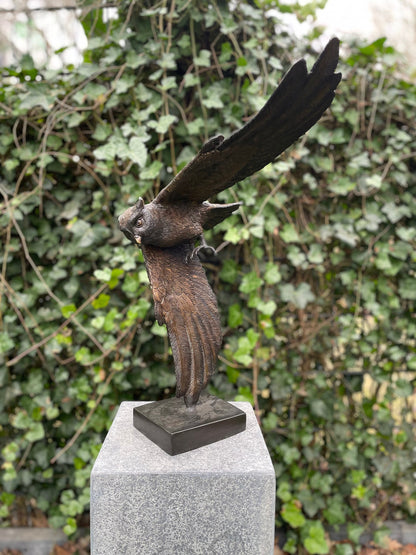 Soaring Owl – Bronze Sculpture. 35x24x48cm