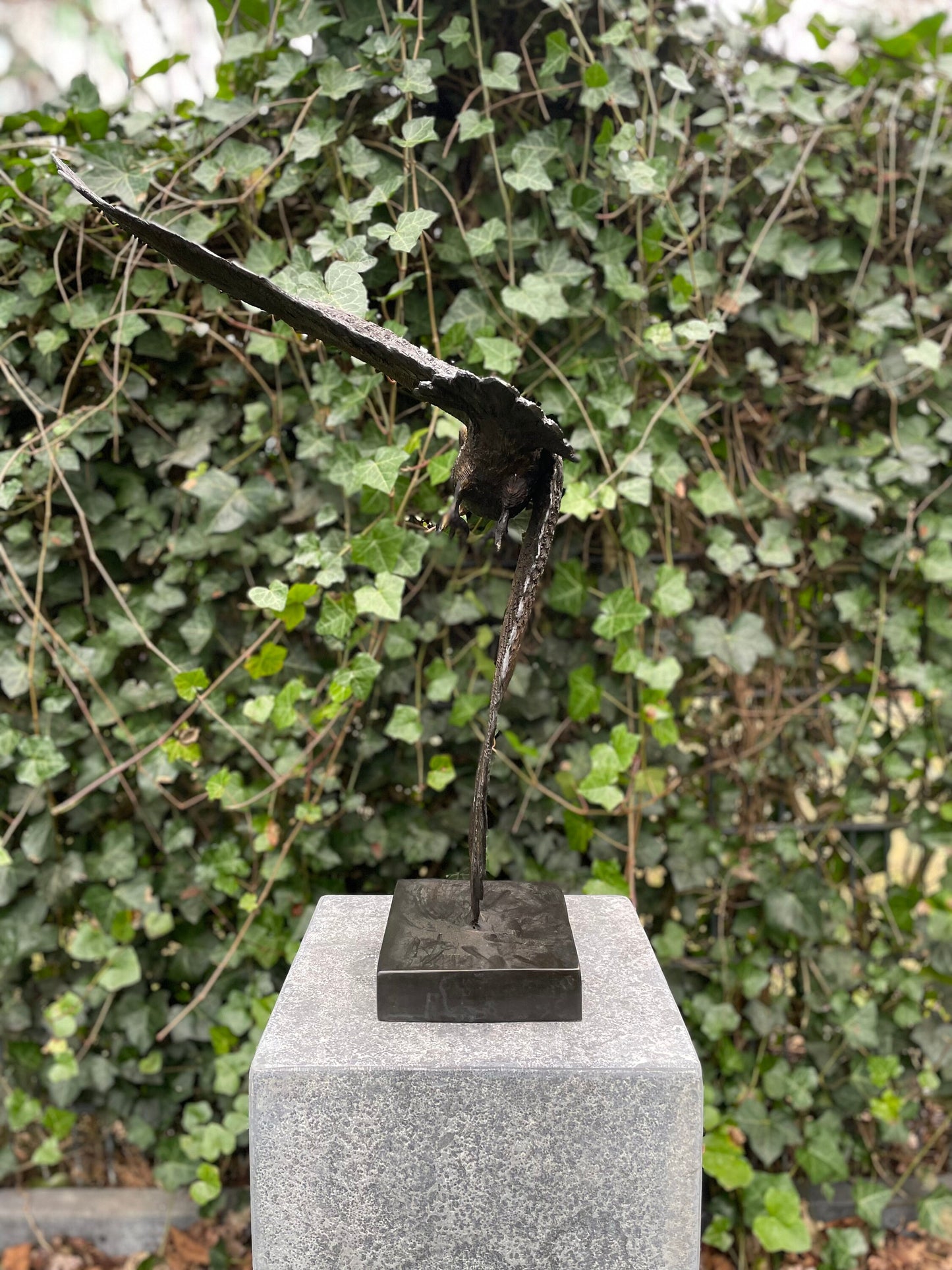 Soaring Owl – Bronze Sculpture. 35x24x48cm