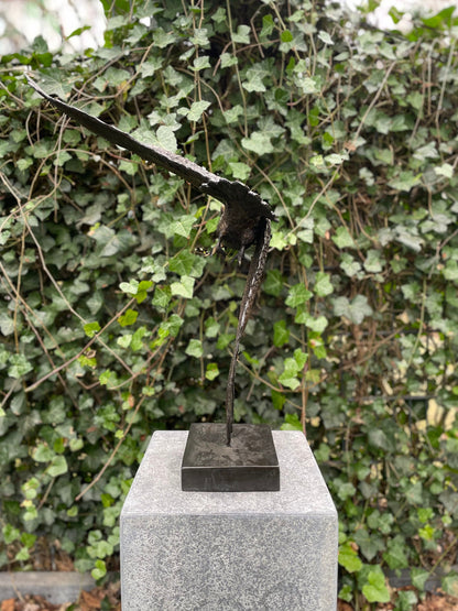 Soaring Owl – Bronze Sculpture. 35x24x48cm