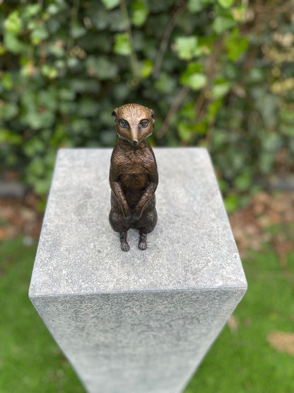Alert Meerkat – Bronze Sculpture. 17x6x18cm