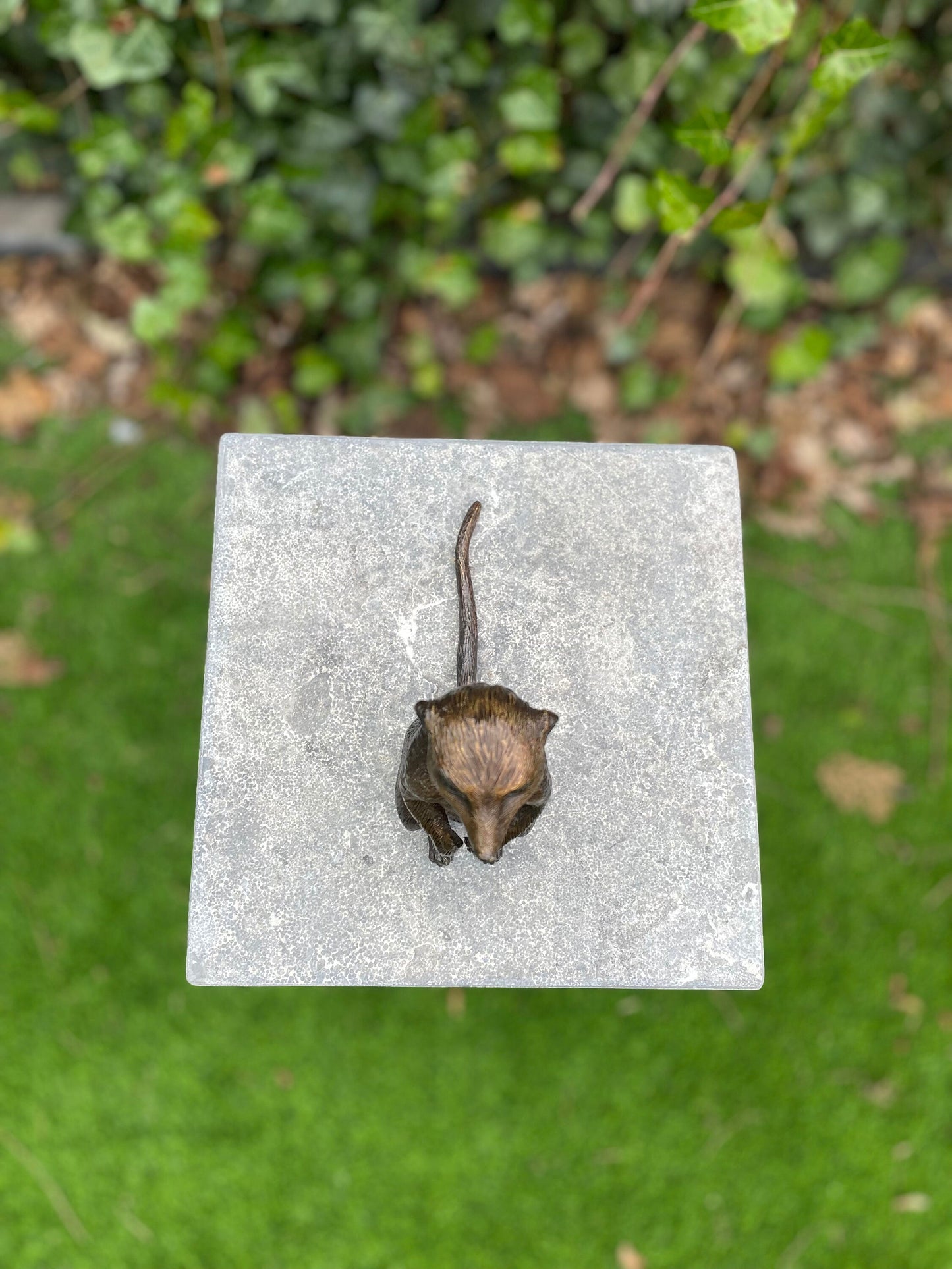 Alert Meerkat – Bronze Sculpture. 17x6x18cm