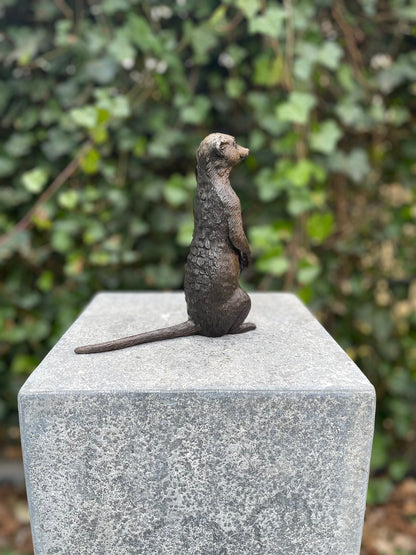 Alert Meerkat – Bronze Sculpture. 17x6x18cm