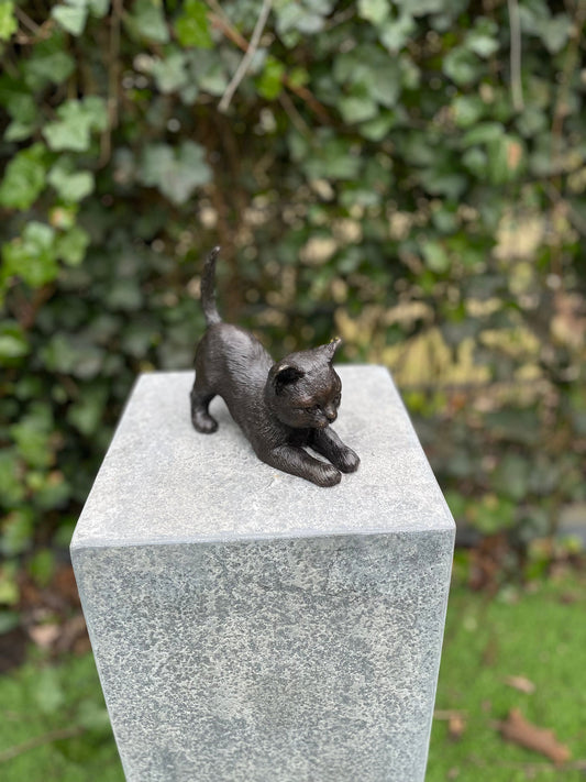Stretching Kitten – Bronze Sculpture. 18x7x16cm - 1Kg