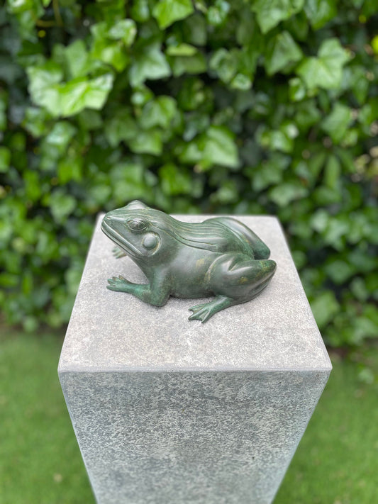 Frog Fountain – Bronze Sculpture. 20x16x9cm - 1.3Kg