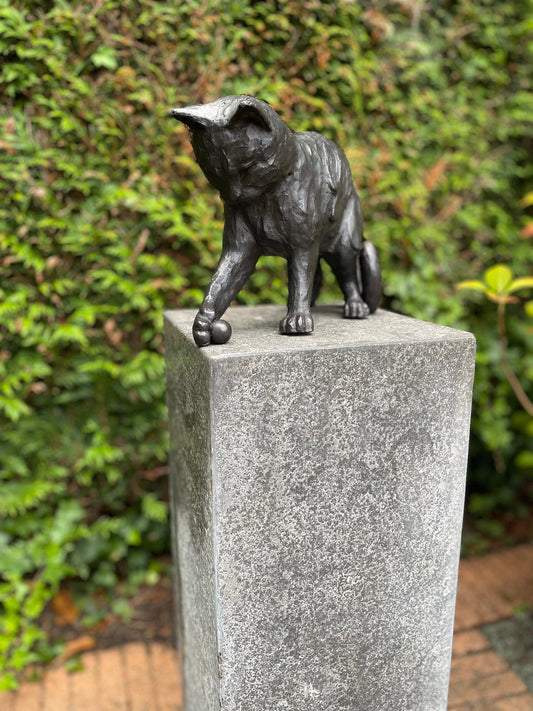 Curious Kitten – Bronze Sculpture. 21x13x20cm - 3.1Kg