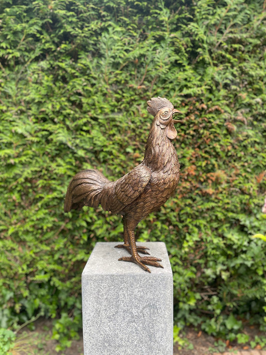 Morning Call Rooster – Bronze Sculpture. 53x25x50cm - 5.9Kg