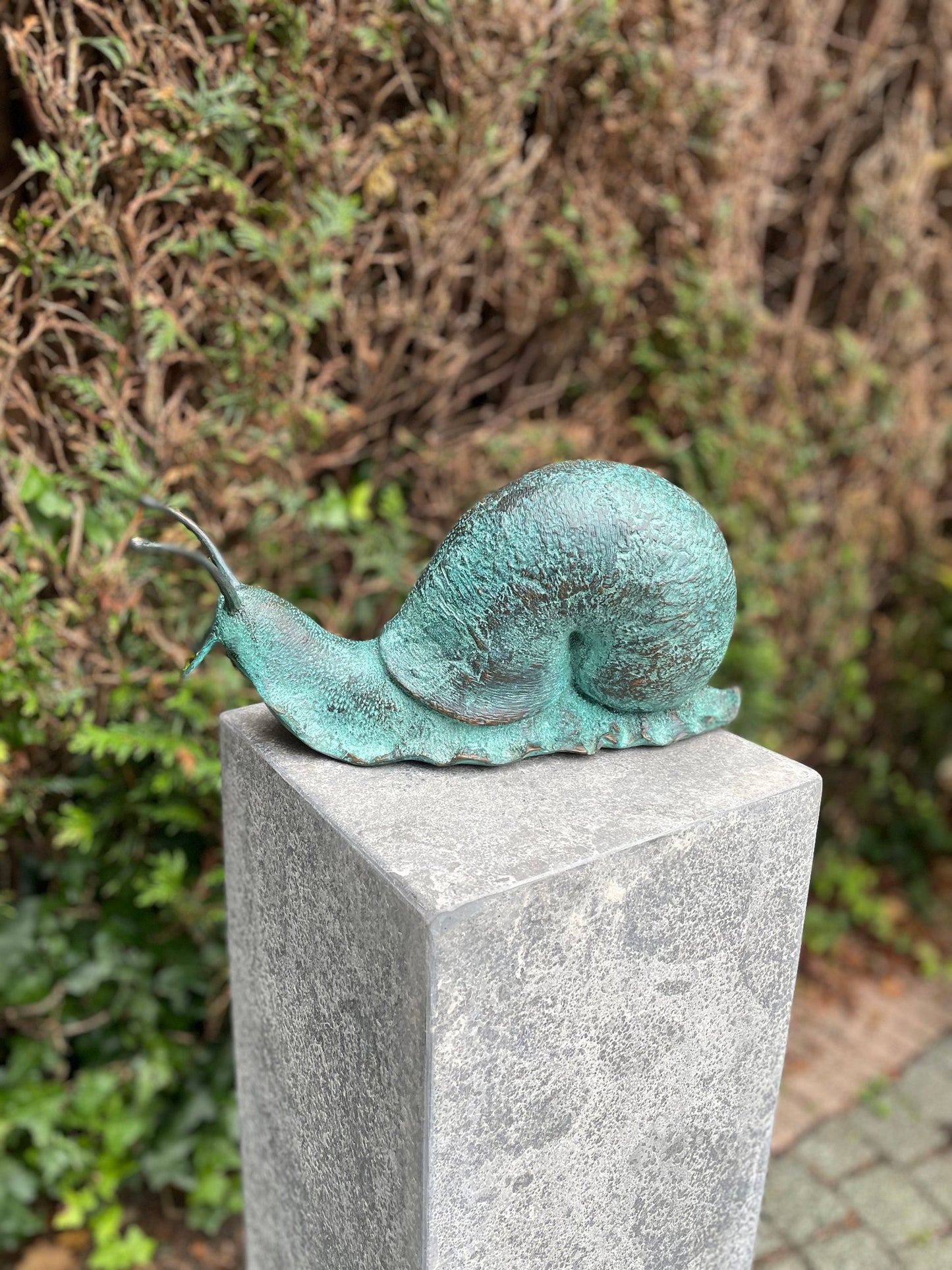Curious Snail – Bronze Sculpture. 23x13x47cm - 2.5Kg