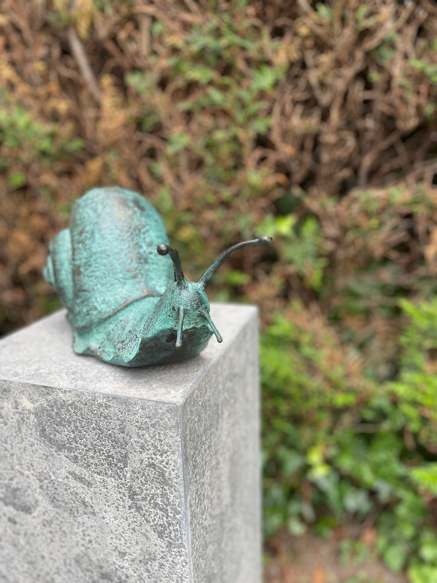 Curious Snail – Bronze Sculpture. 23x13x47cm - 2.5Kg